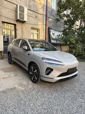 Selion 06 2025 full 605 km 1