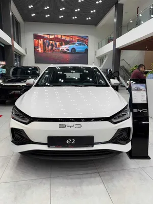 Rasmiy dilerdan BYD E2 1