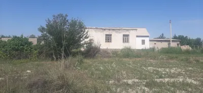 Продаётся дача в Маданияте 1