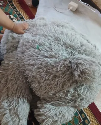 Teddy ayiqcha sotaman 1
