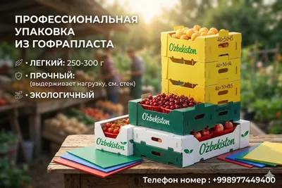 Gofraplast Гофрапласт ящики для фрукты и овощей 1