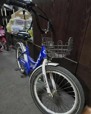 Bolalar velosipedi 1