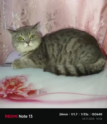 BDSM korsatmalarida oz-ozini boglash va ozod qilish usullari Rus ayollar qamoqxona porno