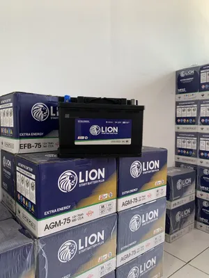 Akumlyator Optom