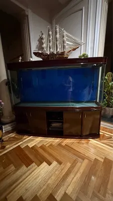 Tumba bilan premium toifadagi akvarium 1