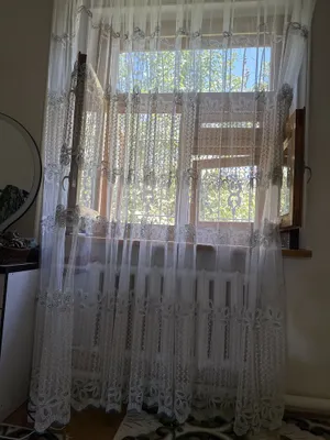 Pardalar, chiroyli tyul. 1