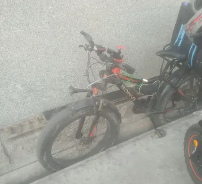 Shoshilinch 26 o‘lchamli velosiped sotaman 1