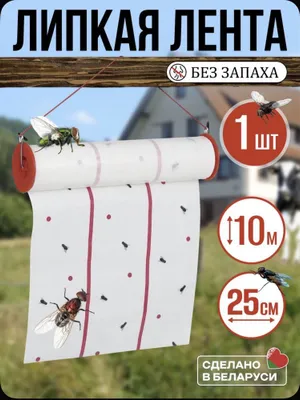 Pashshalar, arilar va boshqa hasharotlar uchun yopishqoq lenta 1