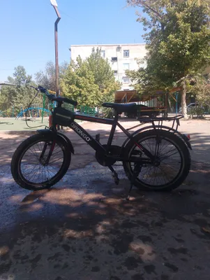 Drongo Velosiped 1