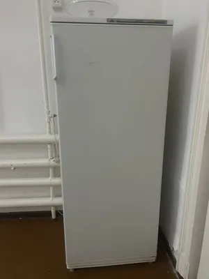 Muzlatkich sotiladi 1