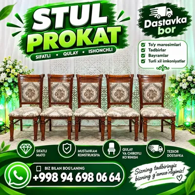Prokat Stul Naves Zontik Prakatga beramiz 1