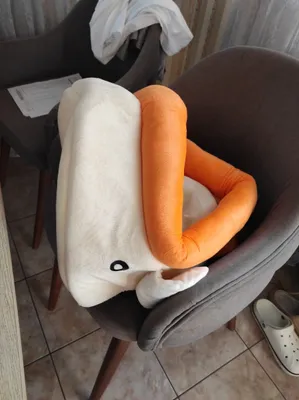 Kichkina mushuk yoki it uchun yotoqcha 1