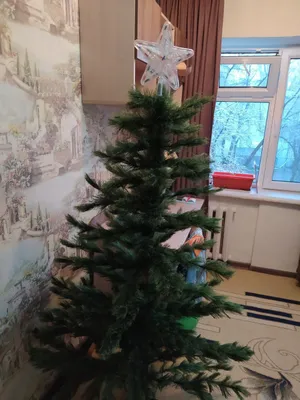 Ishlatilgan yangi yil archasi 1