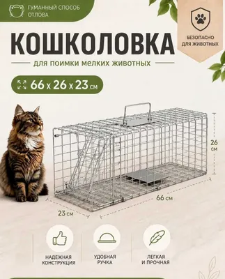Аренда средней кошколовки — гуманная ловушка для кошек | Ташкент 1
