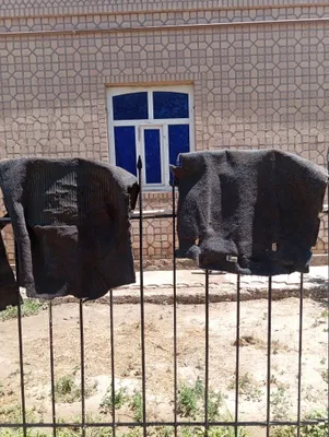Neksiya kigiz. sotiladi 1