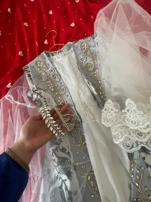 ansambil kelinlik libosi 1