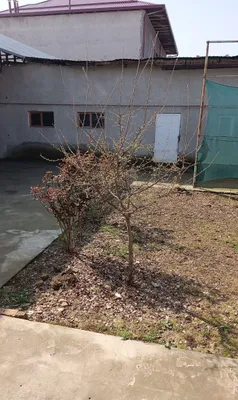 Аренда тикув сех 1