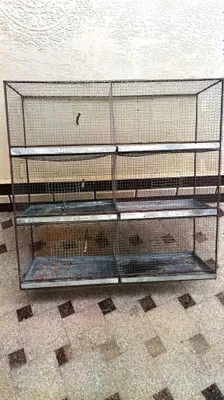 Qushlar, to‘tiqushlar va amadinalarni ko‘paytirish uchun qafas, 6 ta to‘plam 1