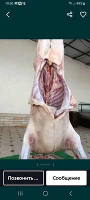 Услуги мясника по Самарканду