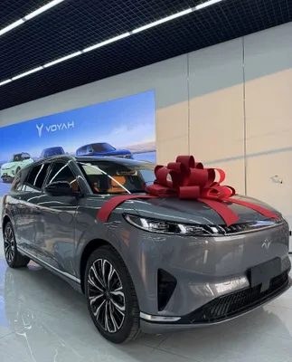 Dongfeng 008 hybrid max 1