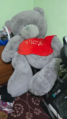 teddy ayiq uzunligi 2,5metr