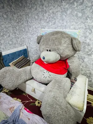 Плюшевый медведь, 500 000 сум, доставка по областям