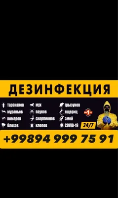 Дезинфекция от всех насекомых официально гарантия 1 год