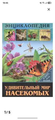 hasharotlar ensiklopediyasi 1