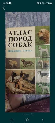Продаю книгу за 10000сум