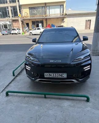 Byd champion 605km 1