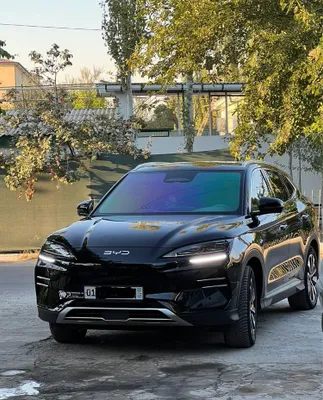 Byd Champion Smart 2025 yil electra 1