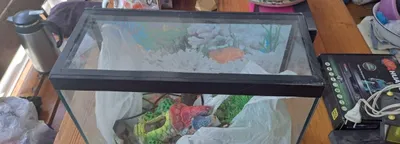 Akvarium, hammasi ishlaydi
