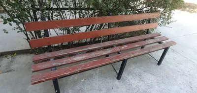 СКАМЕКА СОТИЛАДИ 1