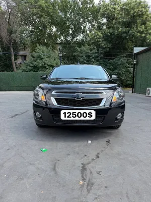 Cobalt Mid Night 2025 1
