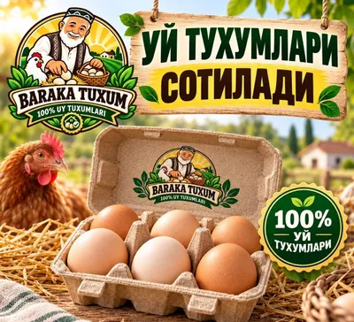 УЙ ТУХУМЛАРИ СОТИЛАДИ! Тоза, сараланган ва янги уй тухумлари.