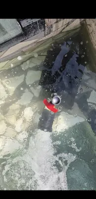 Hovuz va baliqlar uchun kislorodli aerator-pushka. Suvni yaxshi kislorod bilan to‘yintiradi. 1