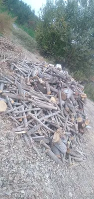 Продаю крупные дрова 1