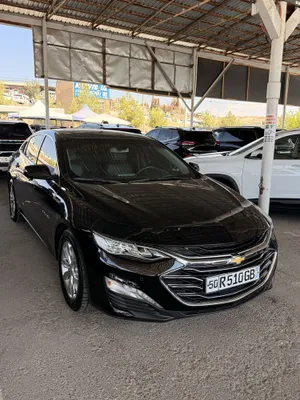Malibu primer 2021 yil tozza yumshoq bolon tan ruxsat 1