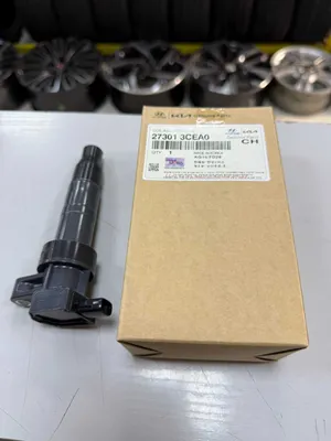 Катушка зажигания — Hyundai/Kia K5/Sonata/Sportage/Sonet/Elantra/Carnival 1