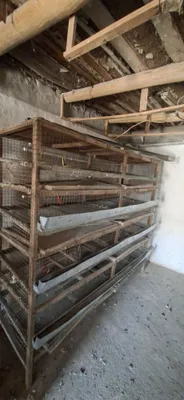 Срочно продаётся клетка, всё готово, есть ниппель, вместимость 600 штук 1