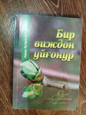 Bir vijdon uygʻonur