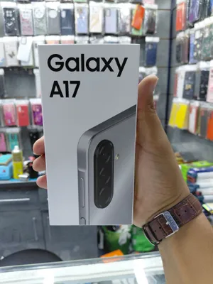 Samsung Galaxy A17 1