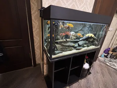 Yaxshi holatdagi akvarium 1