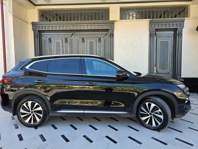 BYD Champion 605 1
