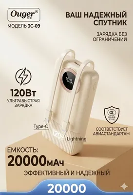 Powerbank Power bank 20 000 mAh 1