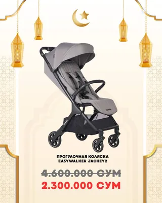 Прогулочная коляска Easywolker 1