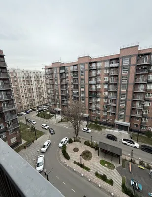 Квартира 1