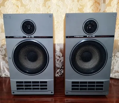 Продаются Elektronika 25 AC 1