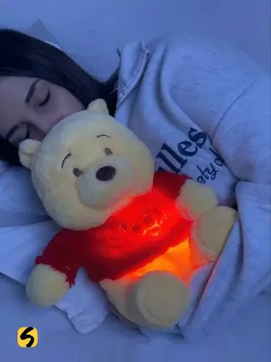 Winnie the Pooh yumshoq o‘yinchog‘i 1