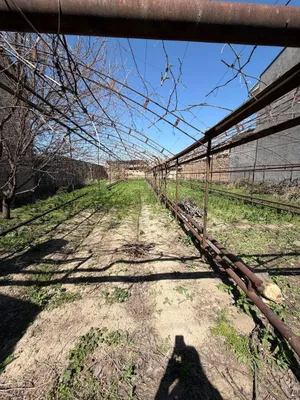 Дурмень, Кибрайский район, Хайдрабад продается земельный участок 1